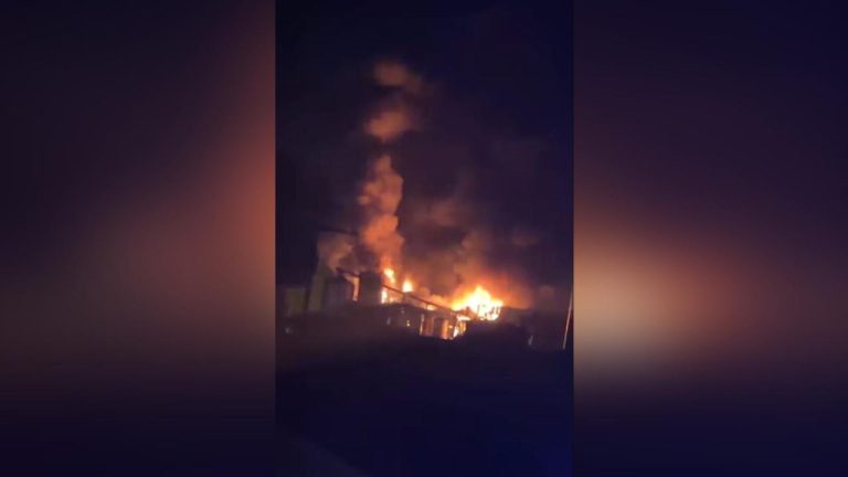 Bandırma'da yağ fabrikasında yangın